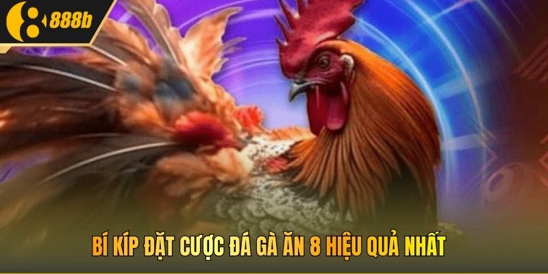 Bí kíp đặt cược đá gà ăn 8 hiệu quả nhất 