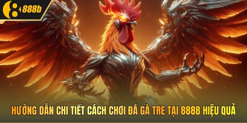 Hướng dẫn chi tiết cách chơi đá gà Tre tại 888B hiệu quả