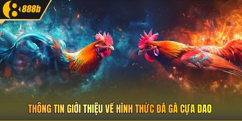 Thông tin giới thiệu về hình thức đá gà cựa dao
