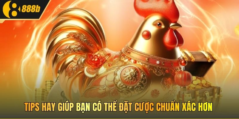 Tips hay giúp bạn có thể đặt cược chuẩn xác hơn